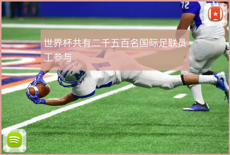 世界杯共有二千五百名国际足联员工参与